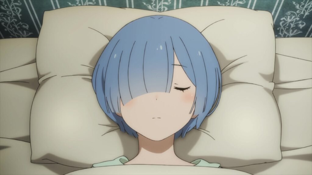 13491382